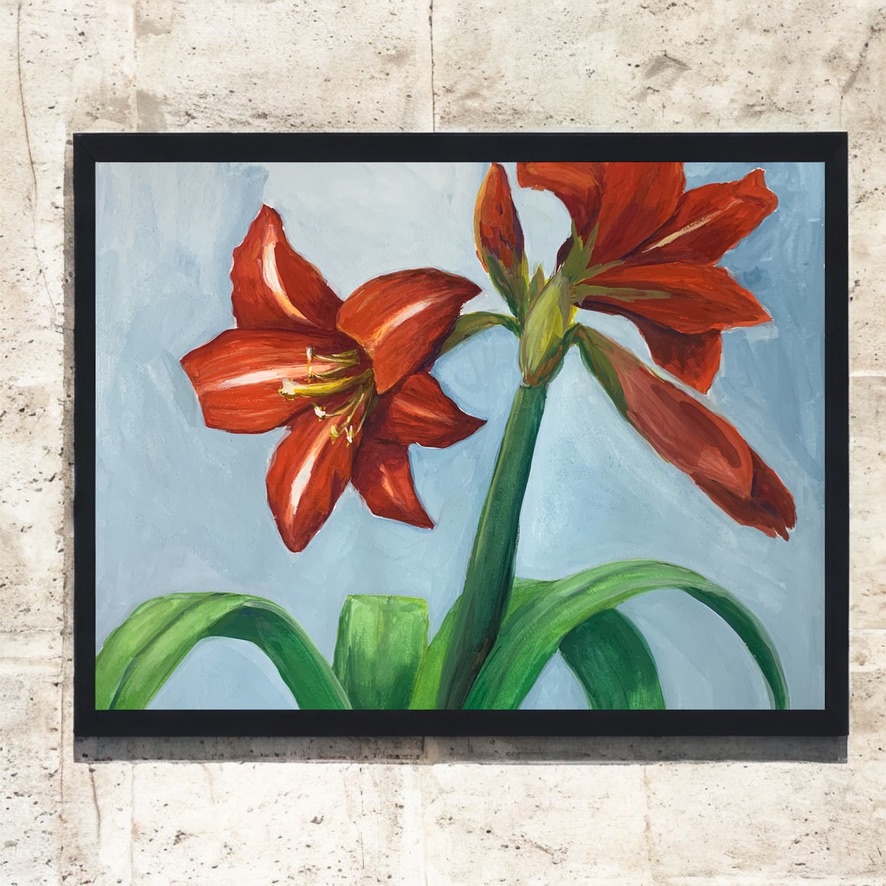 Amaryllis 2